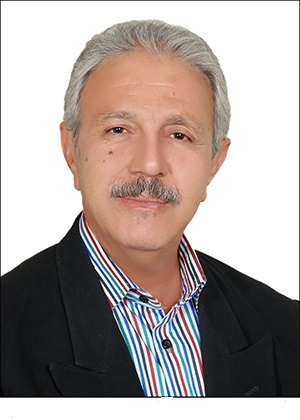 Reza Hamidi