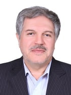 S. Mohsen Taghavi